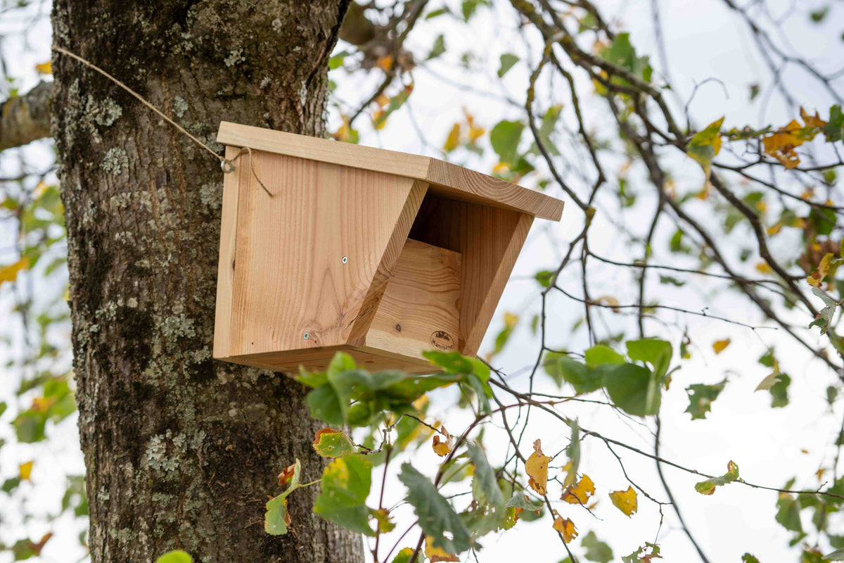 Nistkasten für Halbhöhlenbrüter