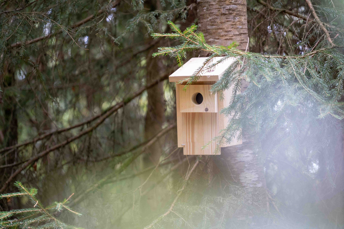 Nistkasten für Staren und heimische Vögel